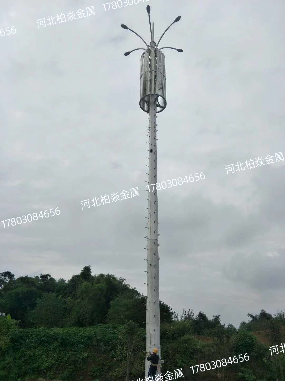 景观美化塔